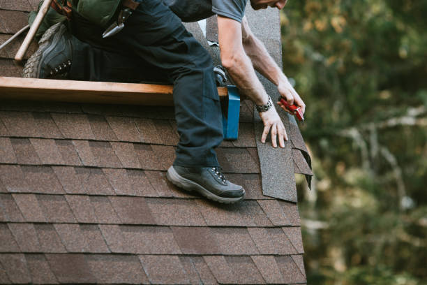 Best Roof Gutter Cleaning  in , OK